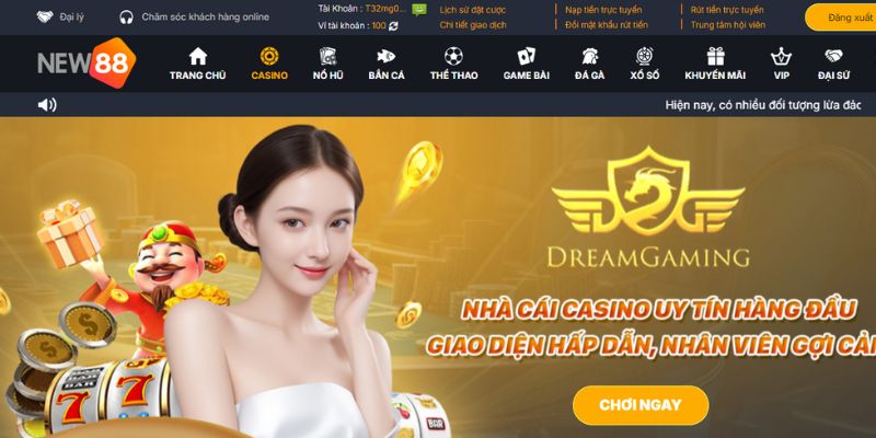 Lỗi người chơi hay gặp khi truy cập nhà cái New88