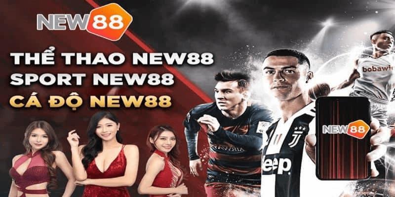 Giới thiệu đôi nét New88 thể thao