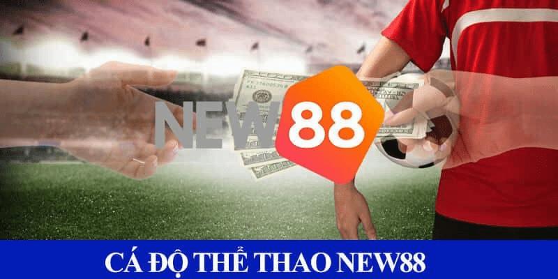 Sự đa dạng về thể thao tại New88